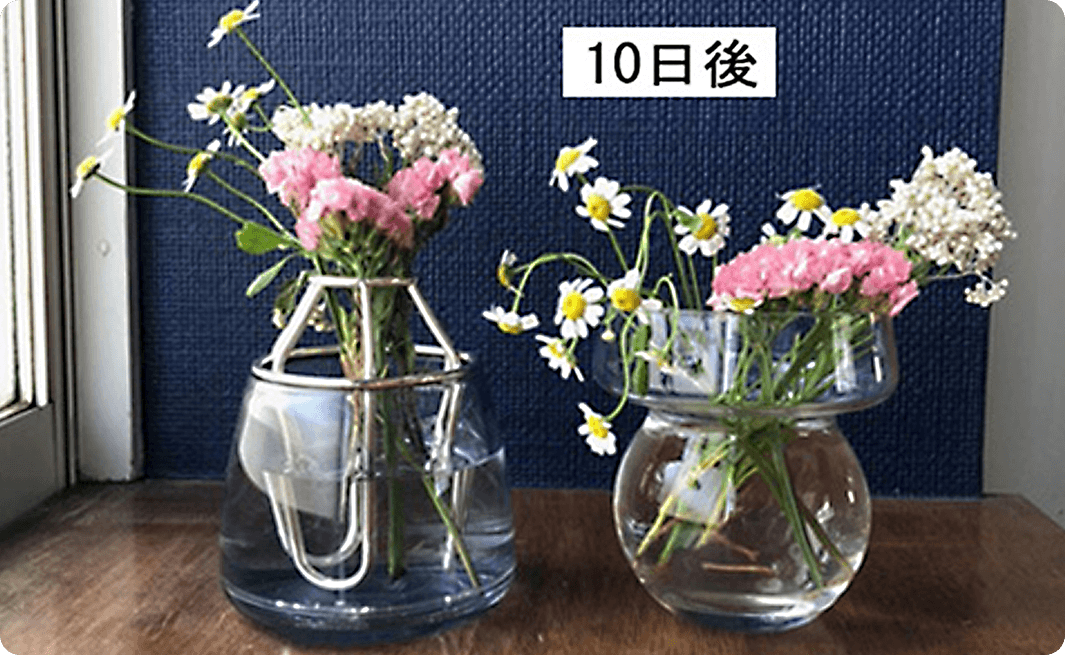別の花瓶と同じ花を飾ったときの花の状態の比較