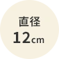 直径12cm
