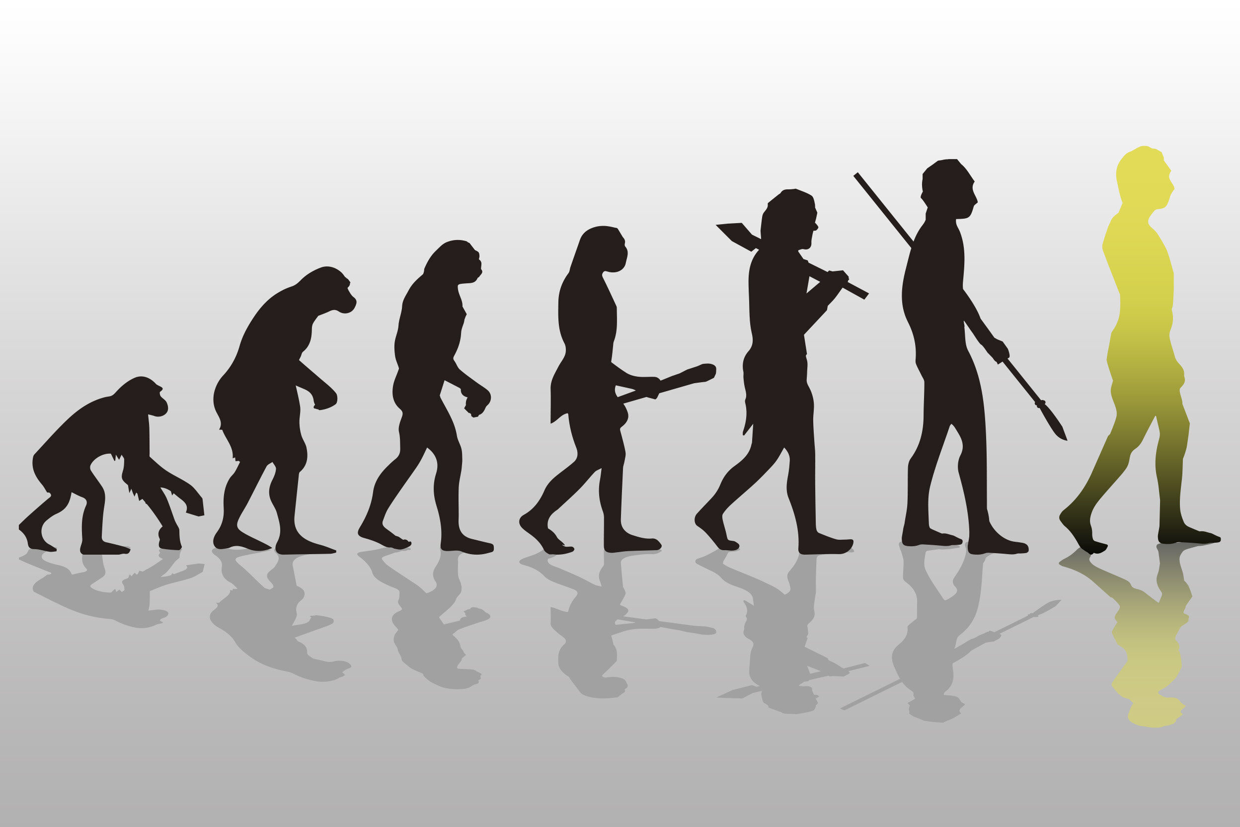 進化のイメージ