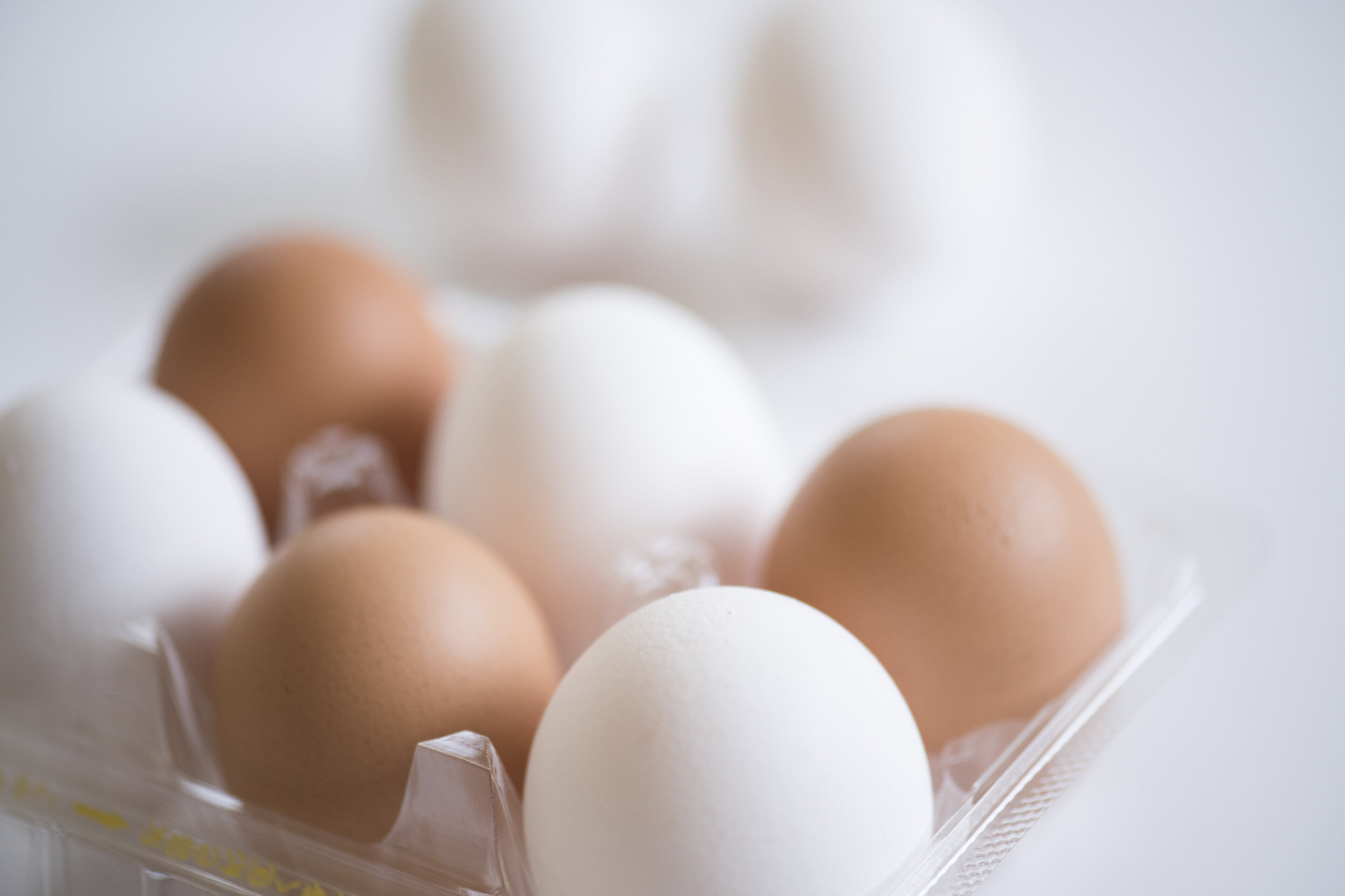 パックに並ぶ玉子