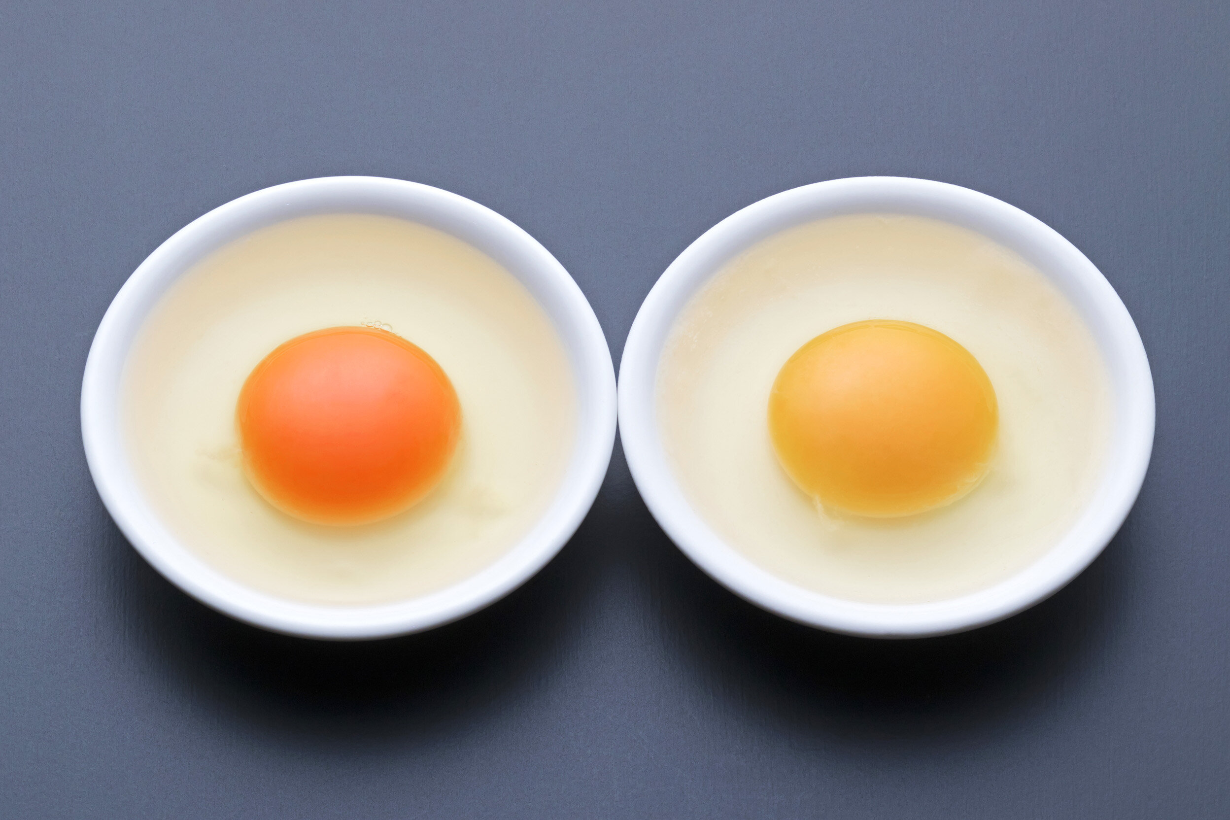 赤い卵と白い卵